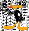 daffy008.gif