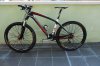 specy HT ott09.jpg
