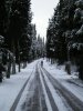 neve firenze 2009 018.jpg