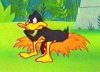 daffyduck032.jpg