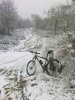 04012010022 pic.jpg