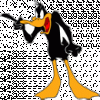 daffy010.gif