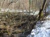 DSCF2411.jpg