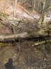 DSCF2410.jpg