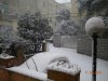 neve 11.03.2010 001.jpg