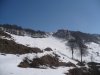P1020446.jpg