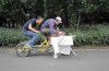 Extreme-Ironing-sport1.jpg