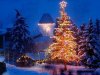 medium_sfondo-albero-di-natale-4.jpg