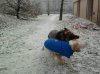 Foto0605.jpg