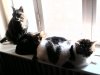 Foto0612.jpg