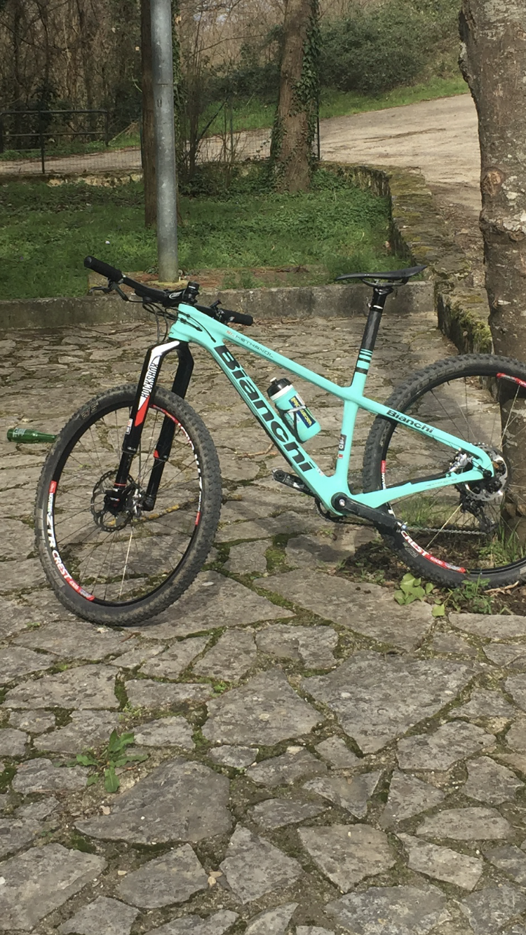 bianchi methanol 29 fs 2018