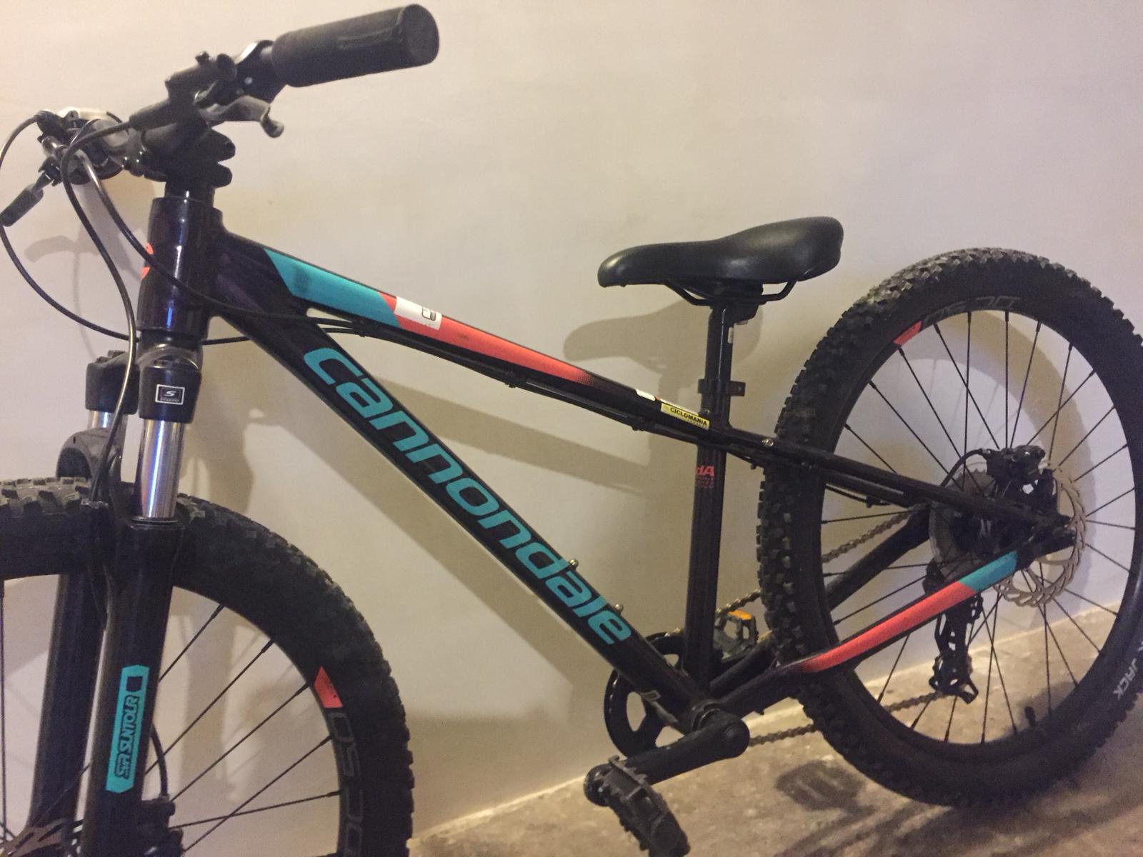 cannondale trail 4 slx 2019