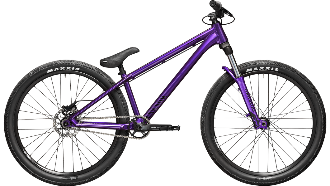 bicicletta dirt