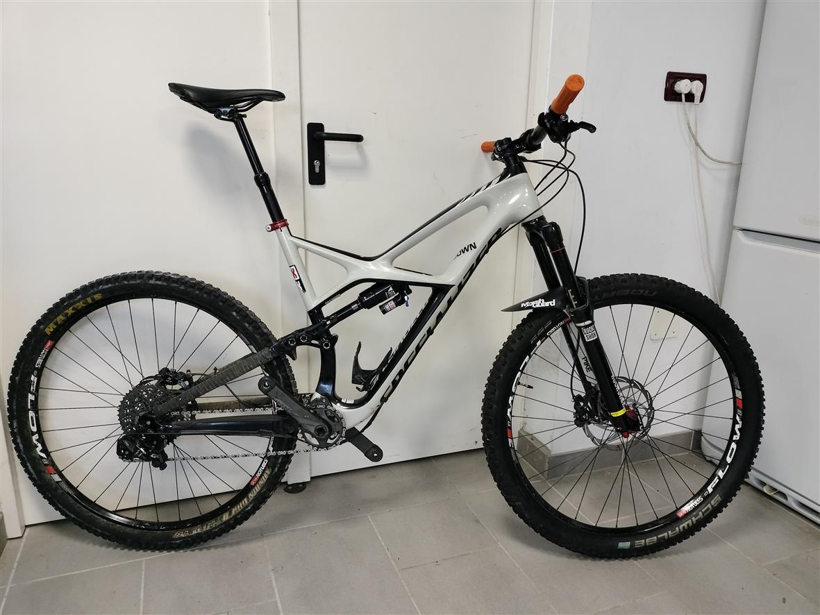 SPECIALIZED ENDURO 29