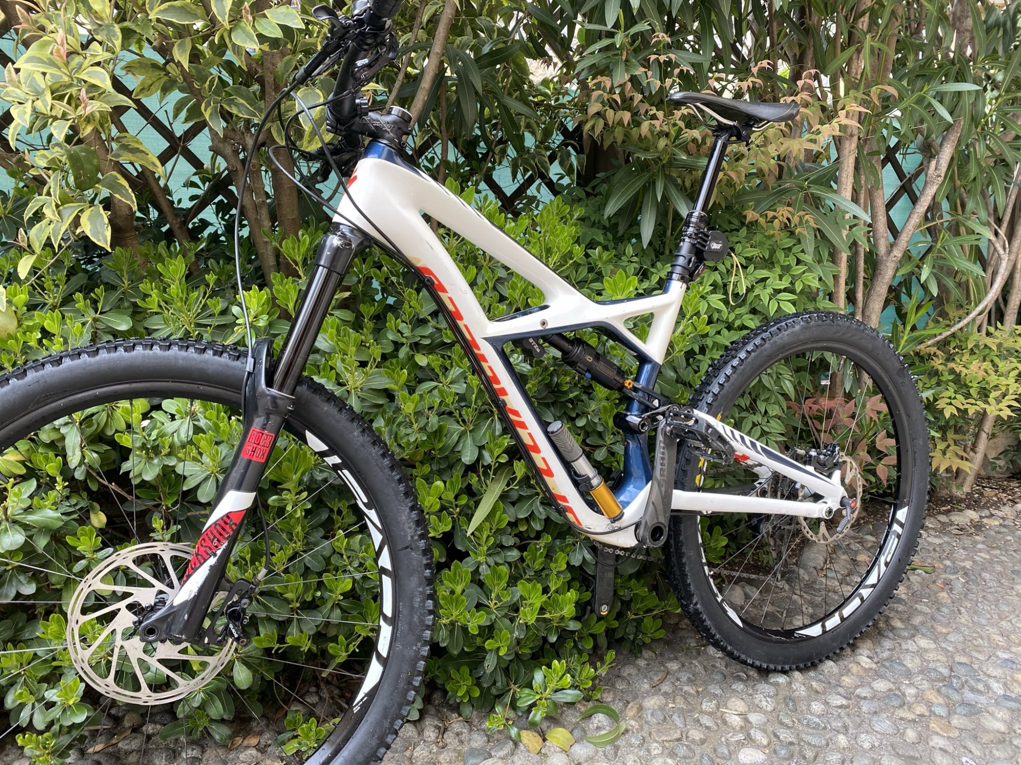 specialized enduro expert 2009